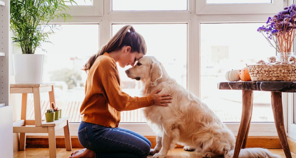 4 Beneficios de vivir en un departamento pet friendly