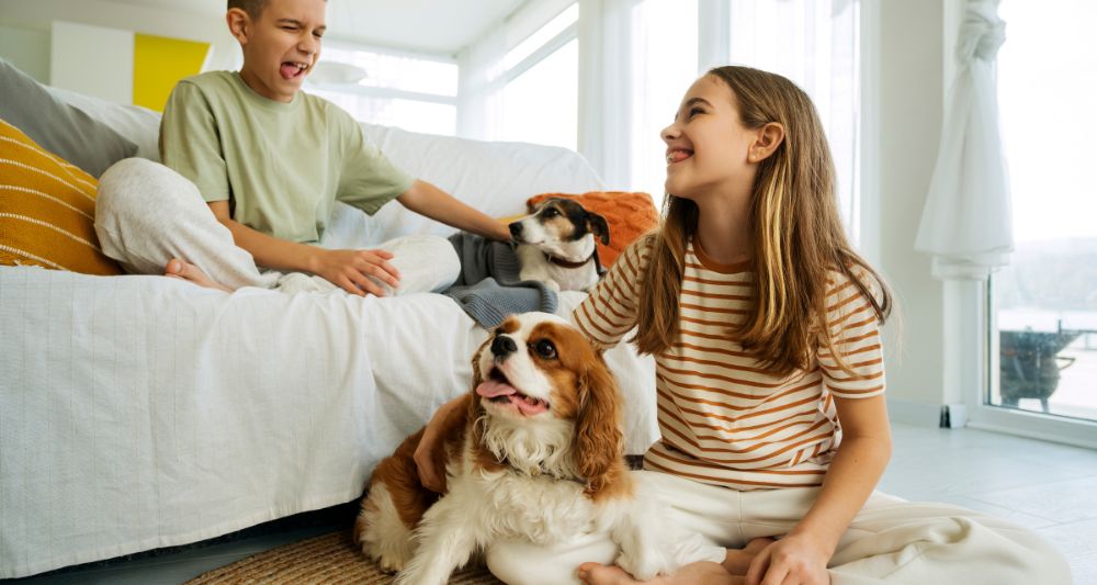 beneficios departamentos pet friendly lima